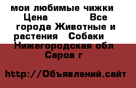 мои любимые чижки › Цена ­ 15 000 - Все города Животные и растения » Собаки   . Нижегородская обл.,Саров г.